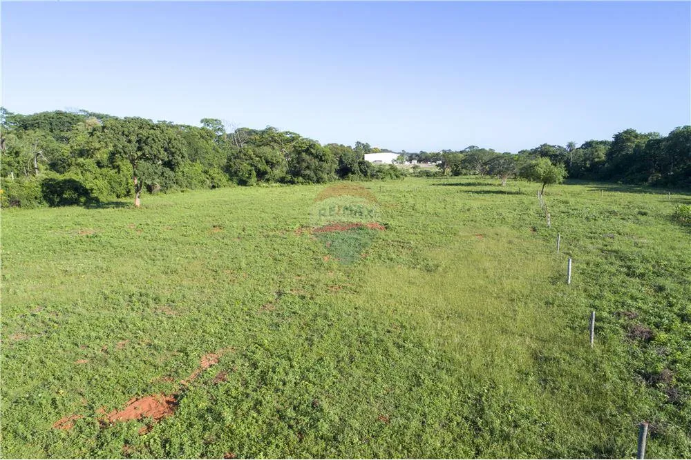 EN VENTA – TERRENO DE 3 HECTÁREAS EN LUQUE — foto 3