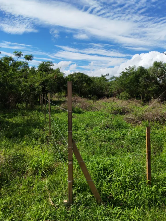 Terreno en venta en Alegre, Guarambaré — foto 3