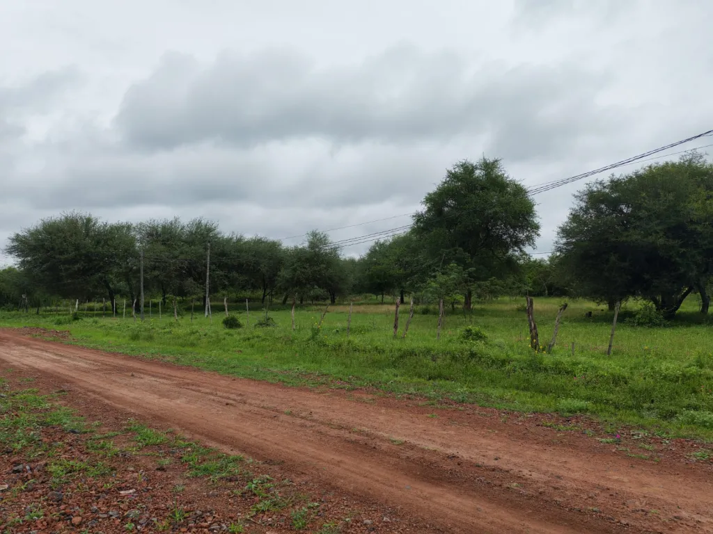 Vento Terreno en Nueva Asunción — foto 2