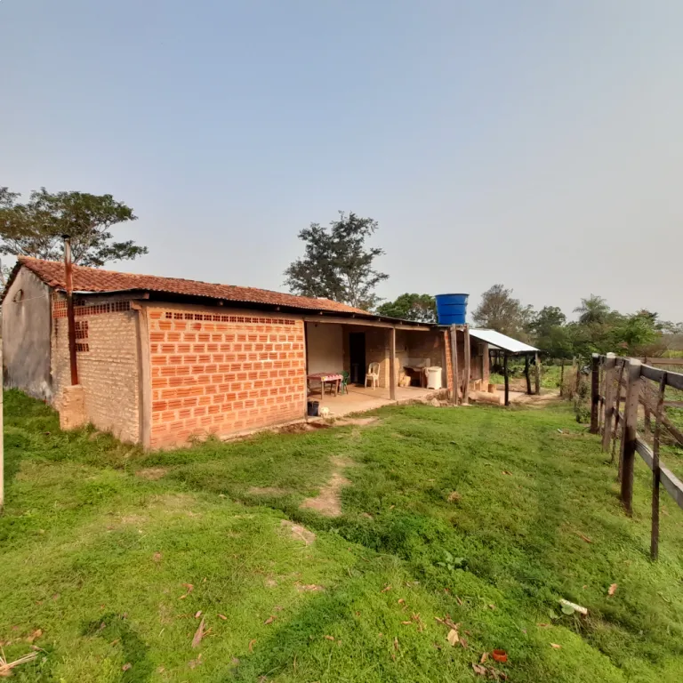15 ha Campo con casa + Granja lista para producir – La Colmena — foto 2