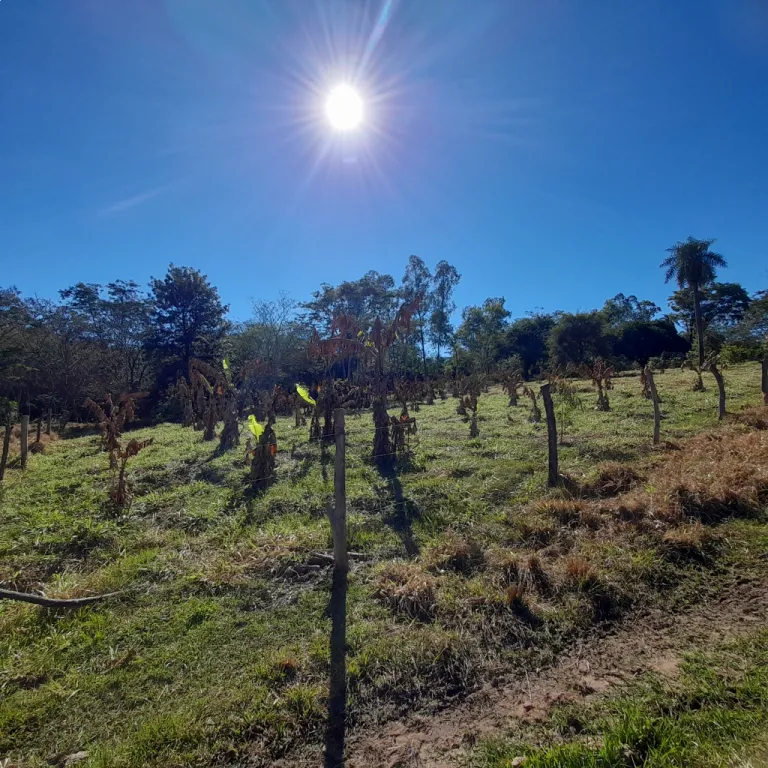 15 ha Campo con casa + Granja lista para producir – La Colmena — foto 3