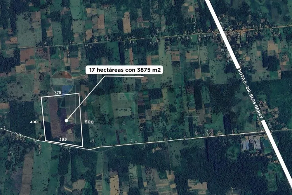 VENDO TERRENO DE 17 HECTAREAS EN YATAYTY DEL NORTE — foto 2