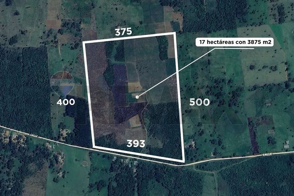 VENDO TERRENO DE 17 HECTAREAS EN YATAYTY DEL NORTE — foto 3