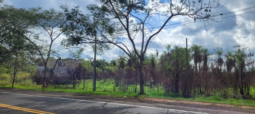 VENDO HERMOSO Y AMPLIO TERRENO SOBRE RUTA PY02 EN ITACURUBI DE LA CORDILLERA — foto 3