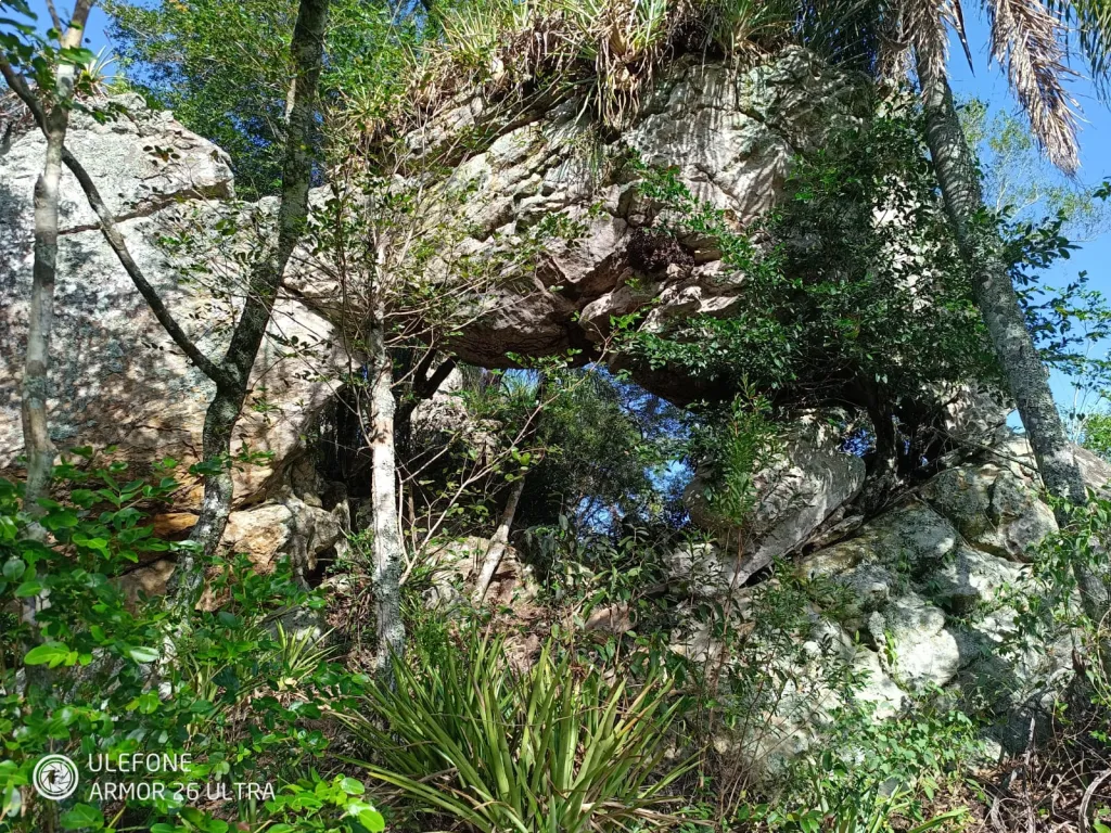 20 ha con cascada privada cerca de Salto Cristal - Isla Alta — foto 2