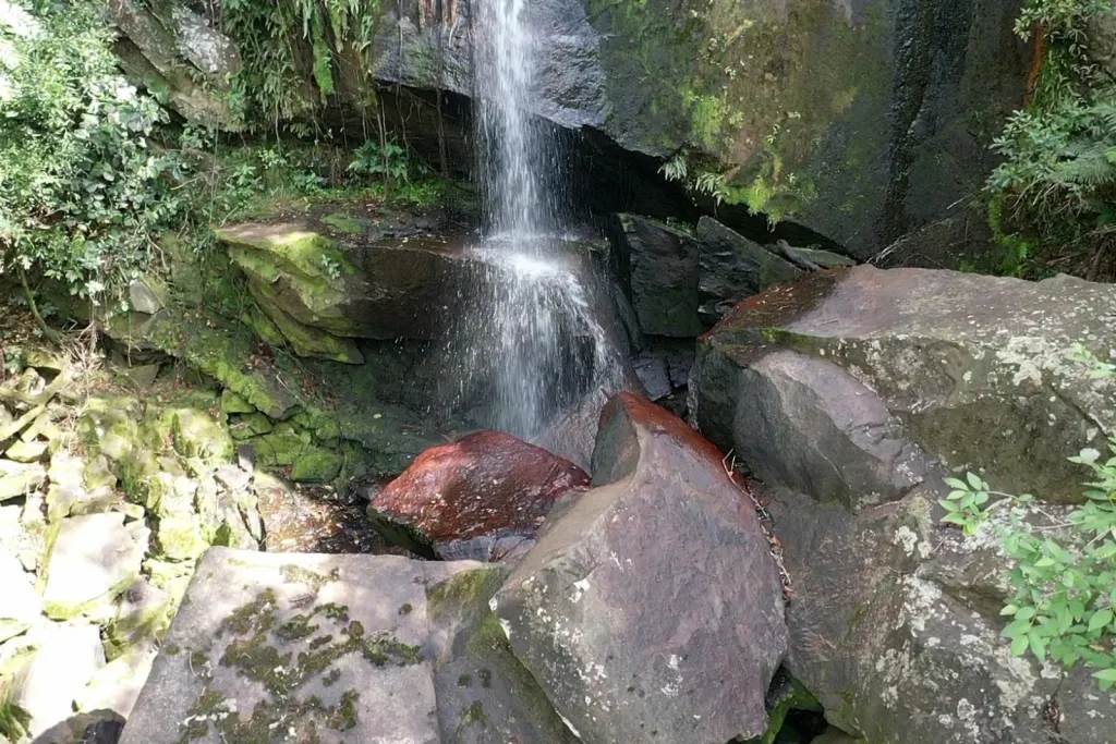 20 ha con cascada privada cerca de Salto Cristal - Isla Alta — foto 3