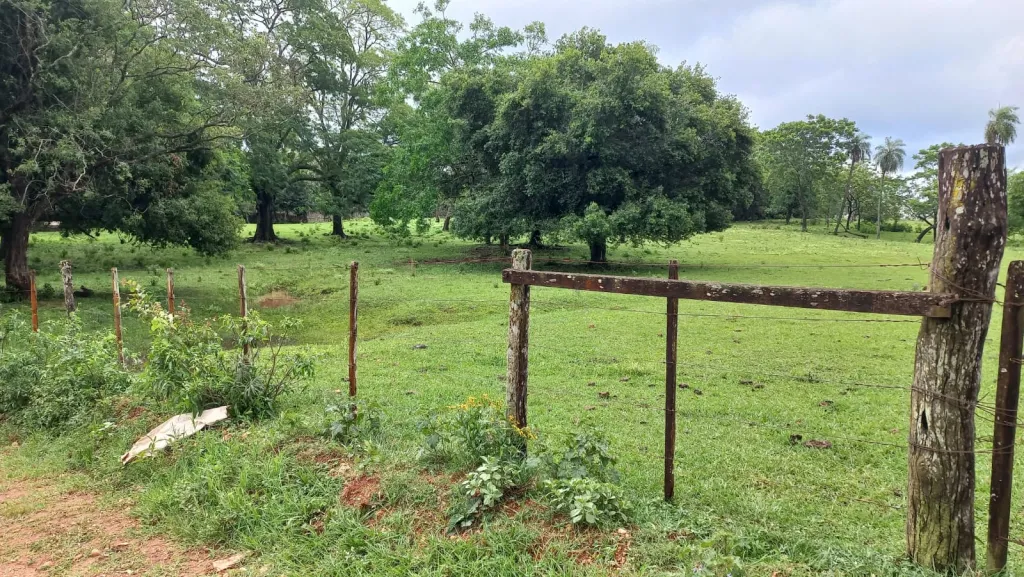 Vendo Hermosa Propiedad de 25 Hectáreas en Quiindy — foto 3