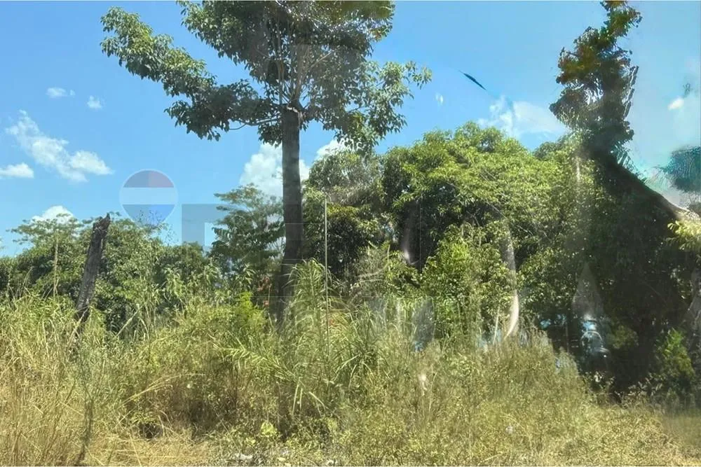 VENDO TERRENO EN LIMPIO A PASOS DE LA RUTA 2 HECTAREAS — foto 3