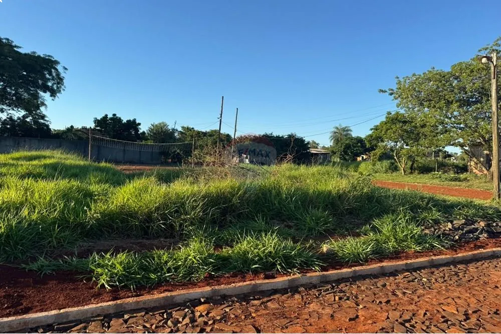 Venta de Terreno en Hernandarias - Zona Industrial — foto 3