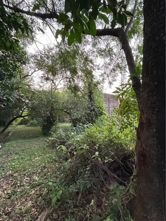 VENDO ‼️ HERMOSA PROPIEDAD EN MARIANO ROQUE ALONSO MIDE 360 MTS², TITULADO‼️ — foto 2