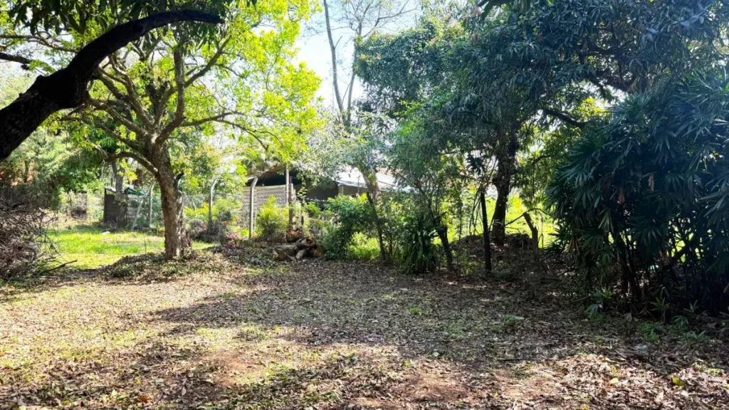 VENDO TERRENO EN LUQUE (Entrada al Barrio Palma Loma) — foto 2