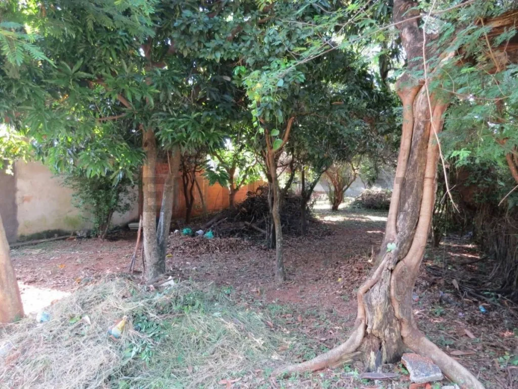 Terreno en Barrio Cerrado La Floresta – Oportunidad única en Luque — foto 3