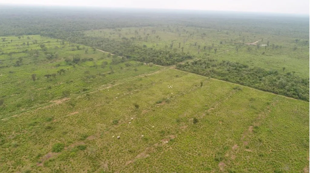Vendo Campo de 3.400 Hectáreas en Alto Paraguay, Zona Chovoreca - CLCS8008986 — foto 3