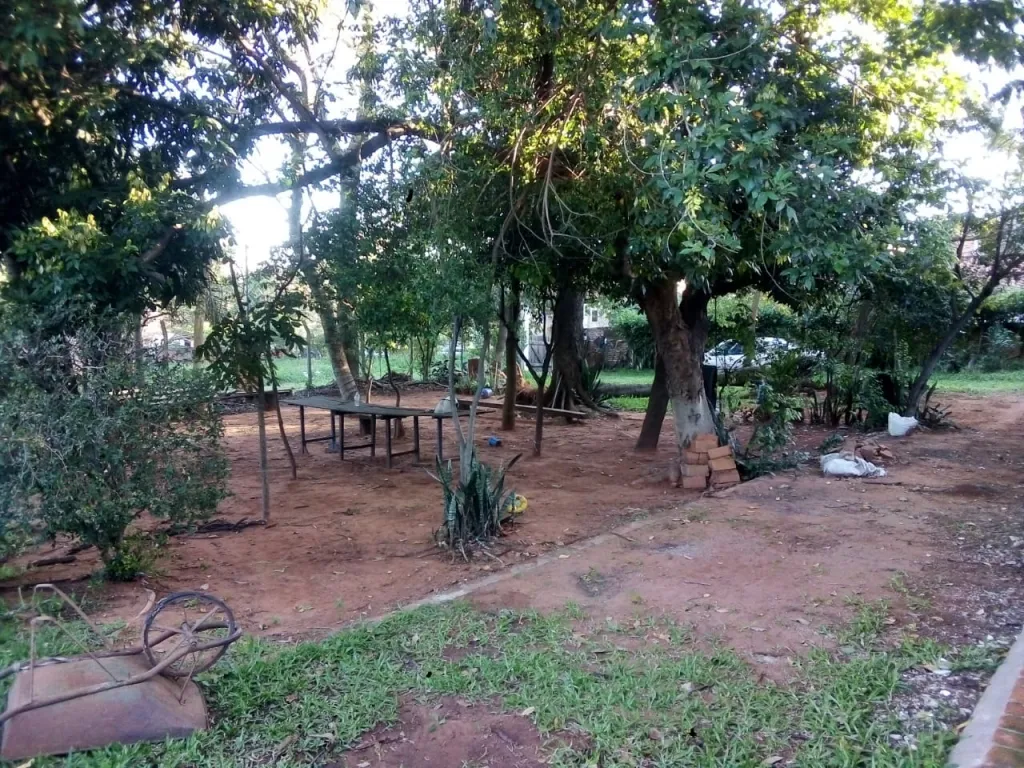 alquilo casa — photo 2