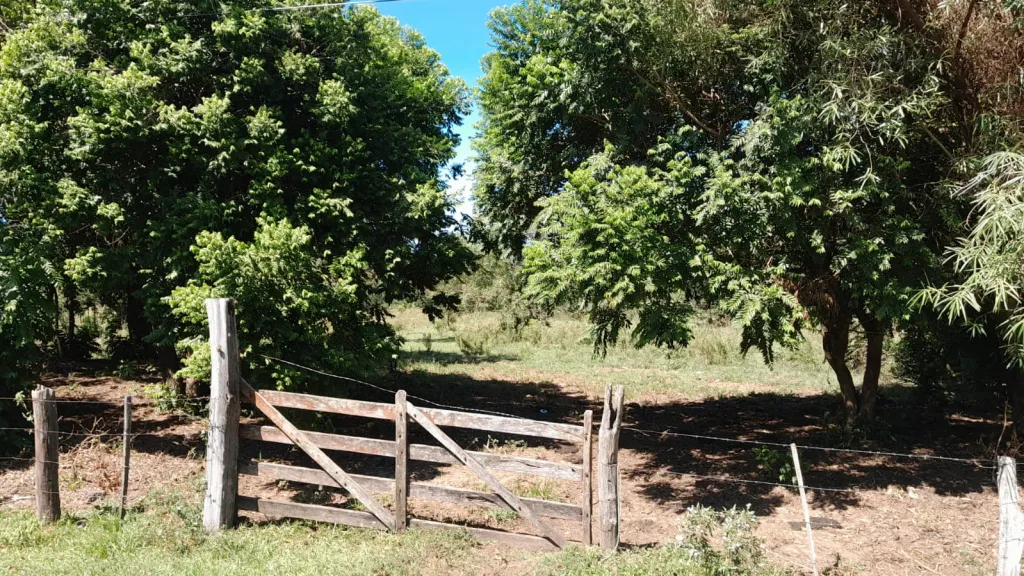 Se vende Terreno de 22,5 hectáreas en Coratei. Distrito de Ayolas — foto 2