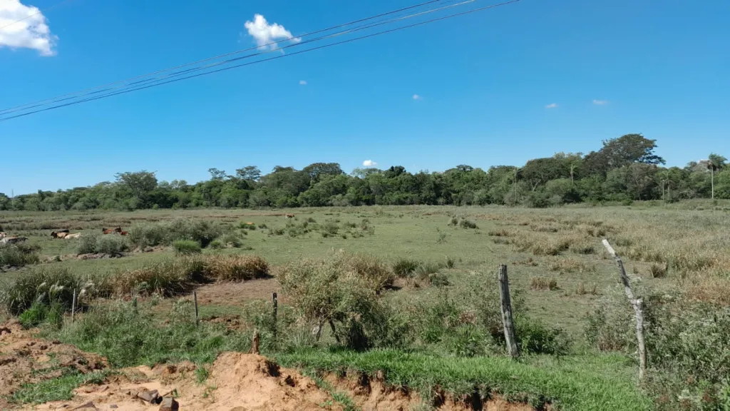 Se vende Terreno de 22,5 hectáreas en Coratei. Distrito de Ayolas — foto 3