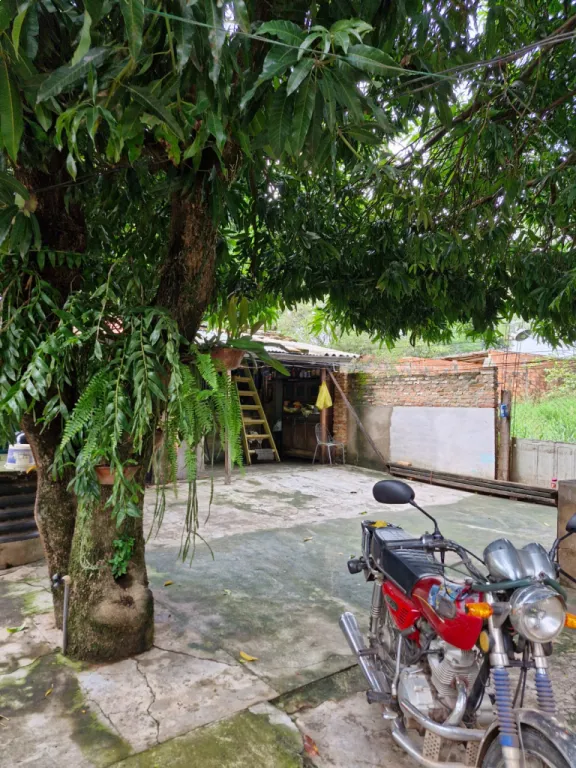 Terreno Venta Luque — foto 3
