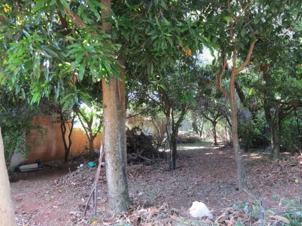 VENDO TERRENO EN LUQUE — foto 3