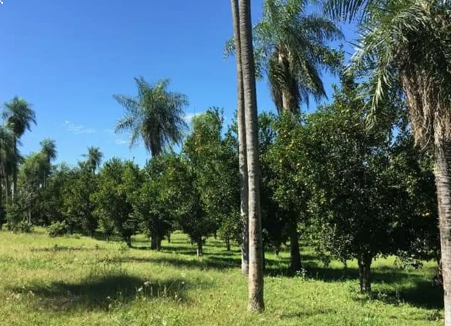 Vendo propiedades cod 6694 — foto 3