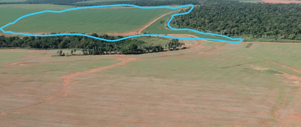 Campo Agrícola Mecanizado en Itakyry - 211 Ha. — foto 2