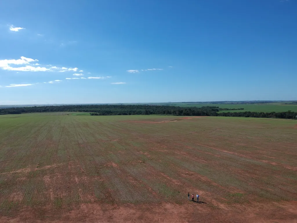 Campo Agrícola Mecanizado en Itakyry - 211 Ha. — foto 3