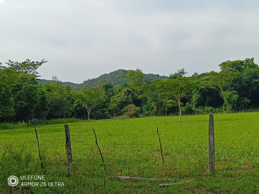 4,7 ha con arroyo, bosque y vista al cerro – La Colmena — foto 2