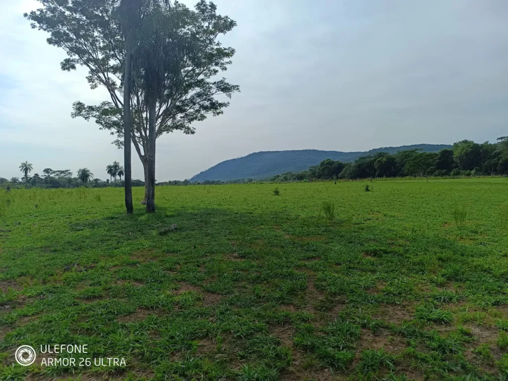 4,7 ha con arroyo, bosque y vista al cerro – La Colmena — foto 3