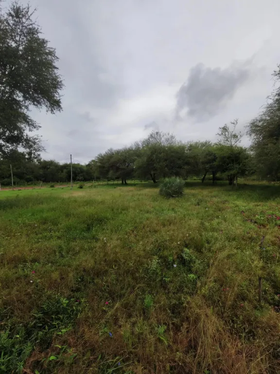 VENDO TERRENOS EN NUEVA ASUNCION — foto 2