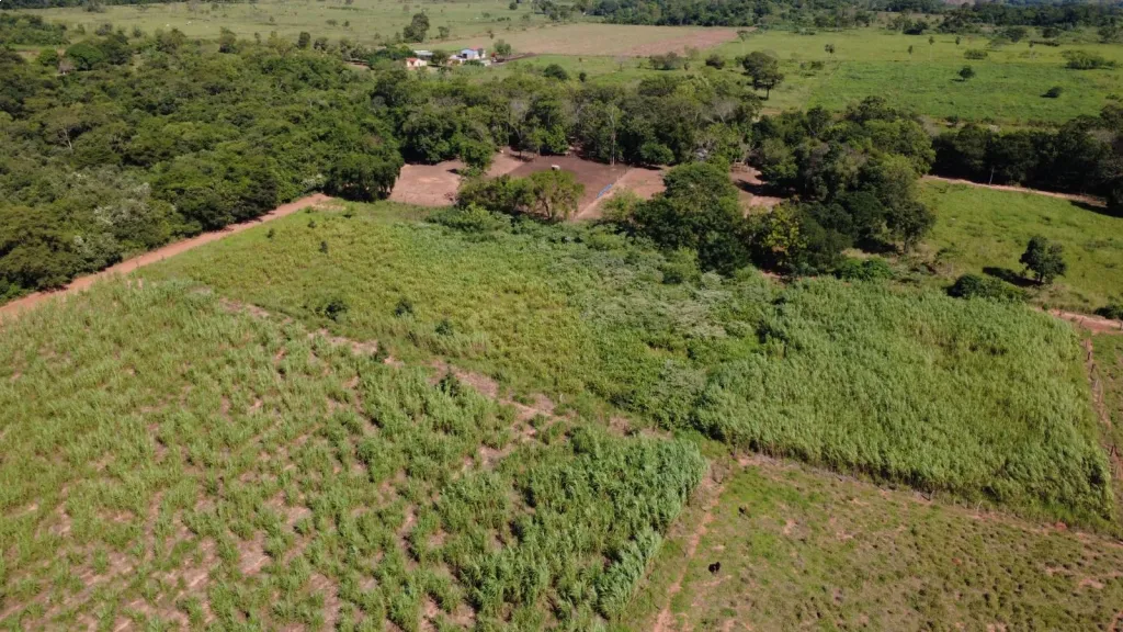 🚜 ¡OPORTUNIDAD AGROGANADERA EN SANTANÍ! Estancia San Alfredo — foto 3