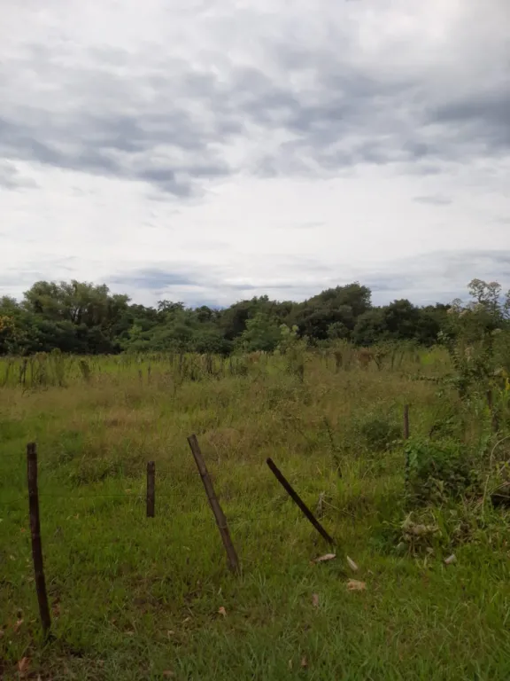 VENDO TERRENO EN JUAN LEON MALLORQUIN SOBRE RUTA — foto 3