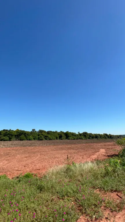 VENDO PROPIEDAD DE 50 HTAS. SOBRE RUTA ASFALTADA-OPCIONAL 25 HTAS.- YRYVYCUA — foto 3