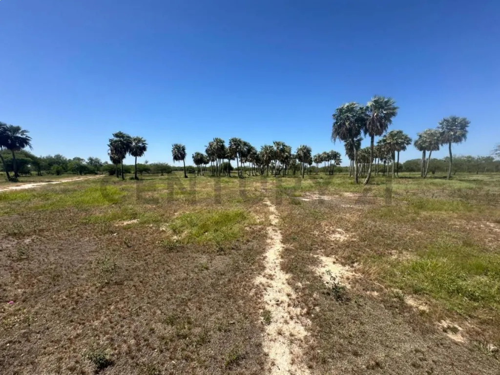 VENDO 20 HECTAREAS EN CHACO-I — foto 3