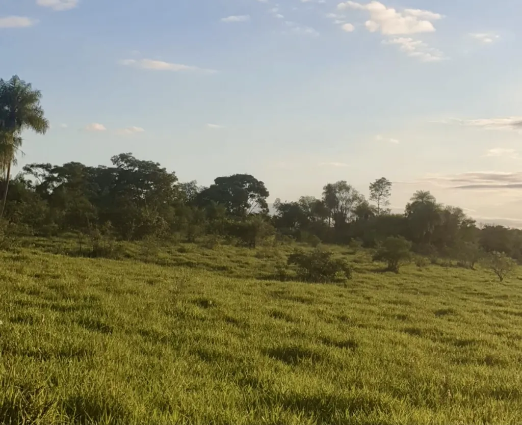 Terreno Rural en Repatriación - 20 Ha. — foto 3