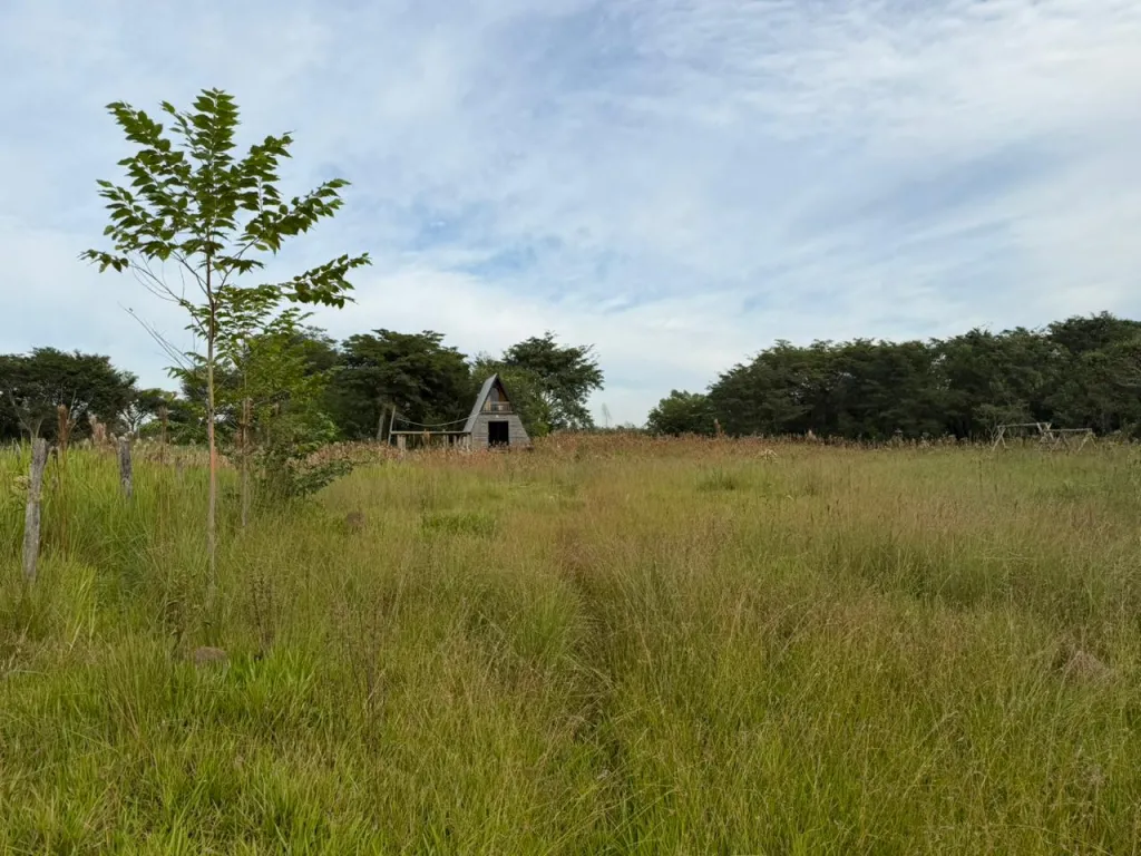 Terreno Rural en Los Cedrales - 6 Ha. — foto 3
