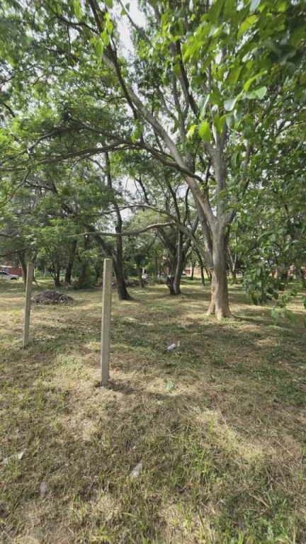 Alquilo 4 terrenos sobre la avenida peron — photo 2