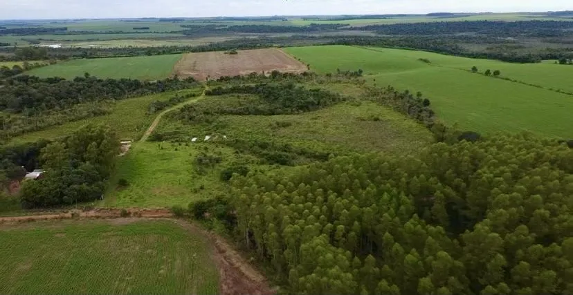 Terreno Rural en Minga Guazú - 21 Ha. — foto 2