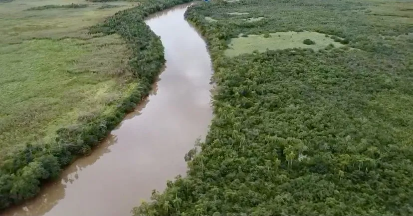Terreno Rural en Minga Guazú - 21 Ha. — foto 3