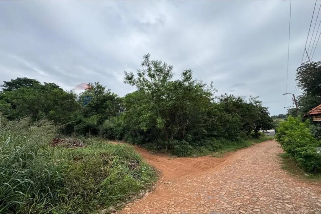 VENDO 2 HECTAREAS EN LIMPIO BARRIO RINCON — foto 2