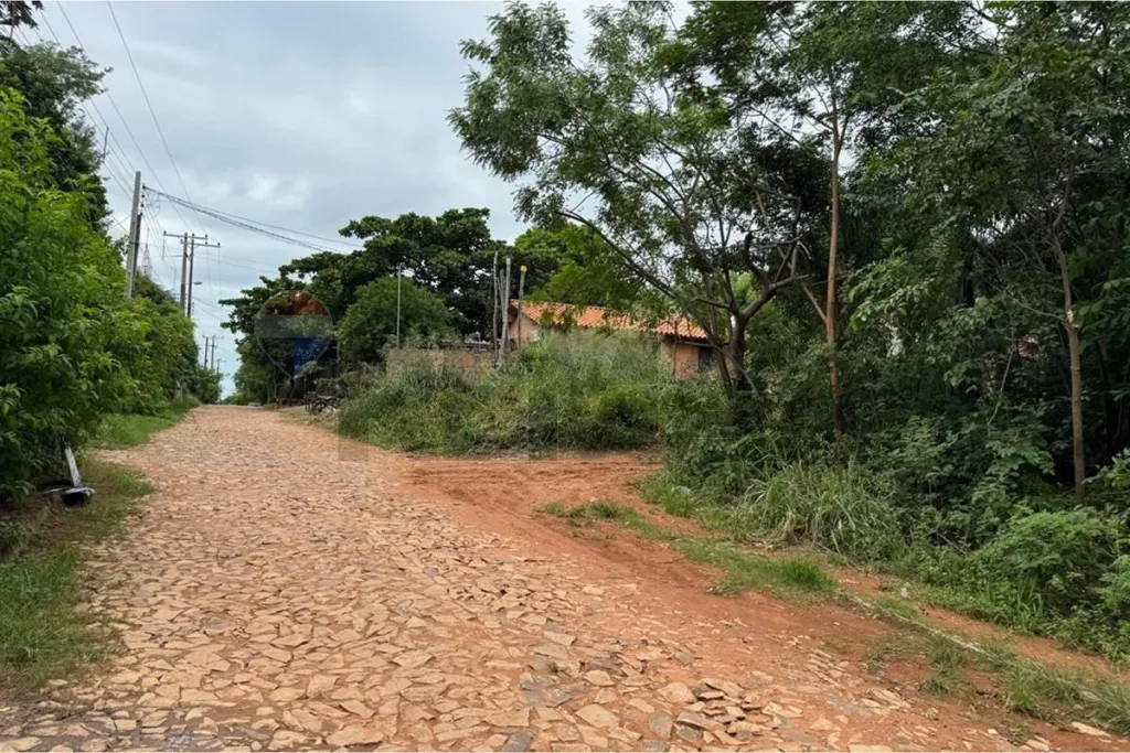 VENDO 2 HECTAREAS EN LIMPIO BARRIO RINCON — foto 3