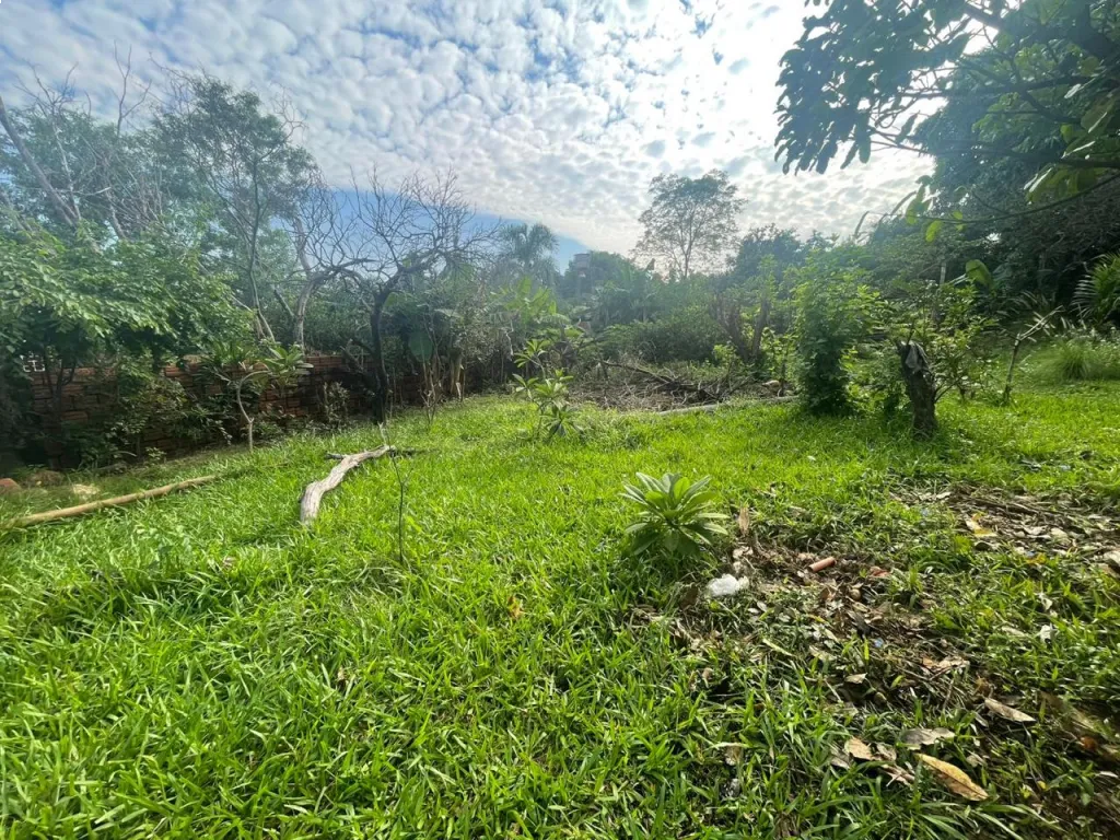 🌿🏡 TERRENO EN VENTA – VILLA ELISA | BARRIO VILLA BONITA — foto 2