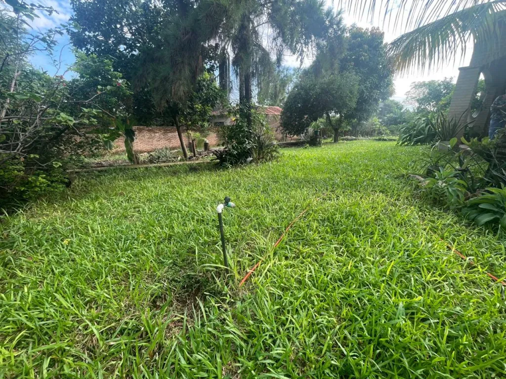 🌿🏡 TERRENO EN VENTA – VILLA ELISA | BARRIO VILLA BONITA — foto 3