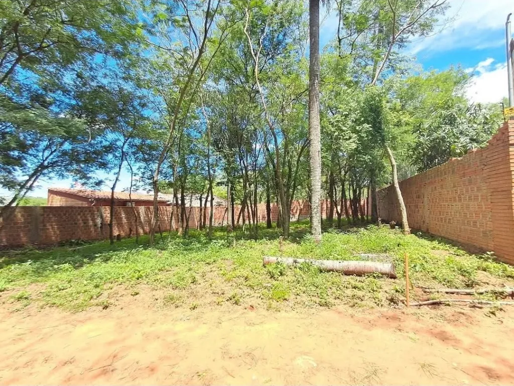 Vendo hermoso terreno en Limpio — foto 3