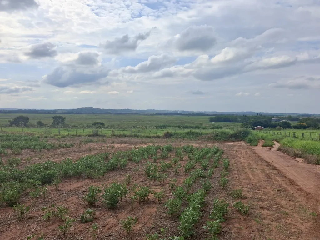 Campo en venta en San Cristóbal, Asunción — foto 2