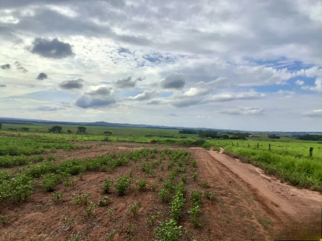 Campo en venta en San Cristóbal, Asunción — foto 3