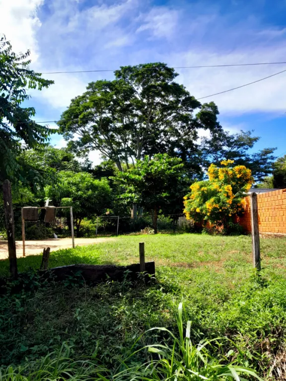 VENDO TERRENO EN MARIANO R, ALONSO — foto 2