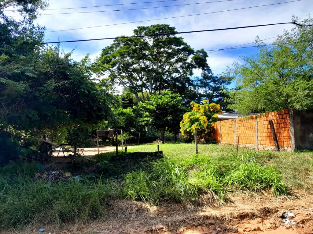 VENDO TERRENO EN MARIANO R, ALONSO — foto 3