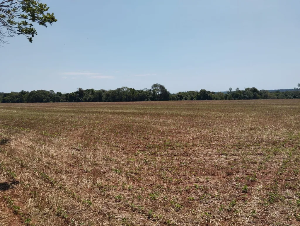 Terreno Rural en Los Cedrales - 27 Ha. — foto 2