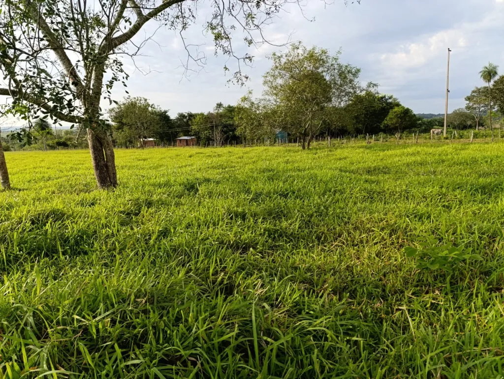 Hectareas — foto 2