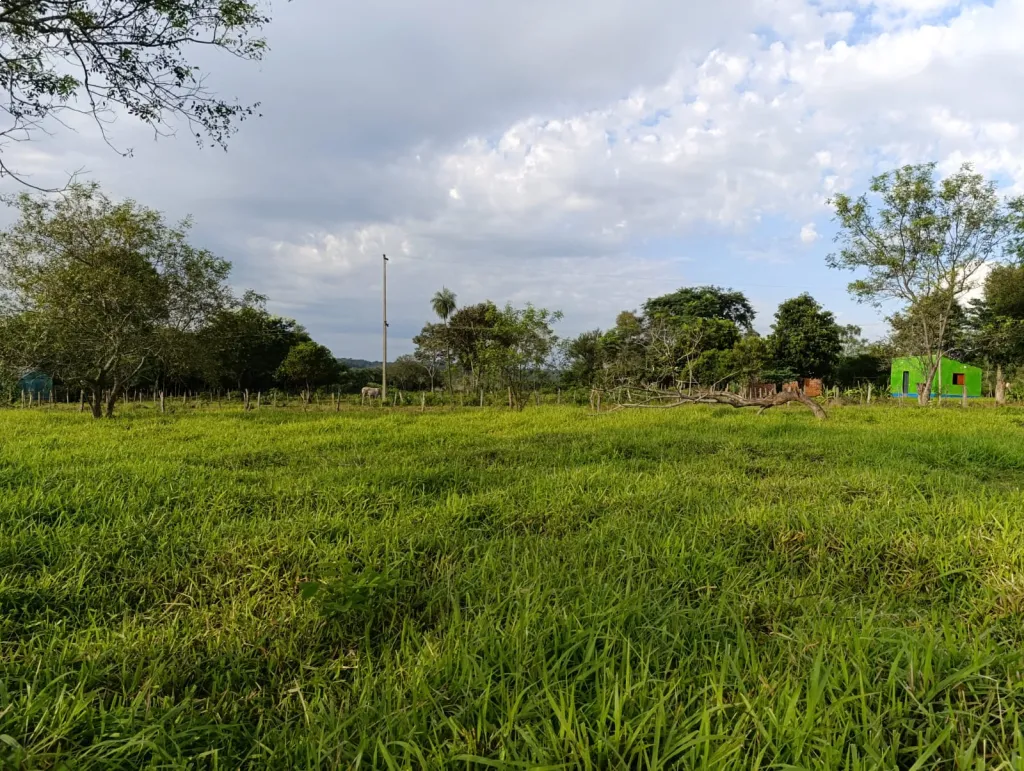 Hectareas — foto 3