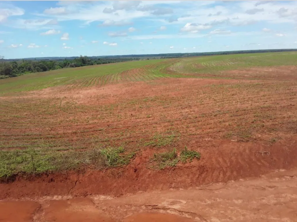 Vendo Campo de 205 Hectáreas en Zona Ytakyry, Alto Paraná - CLCS8064276 — foto 2